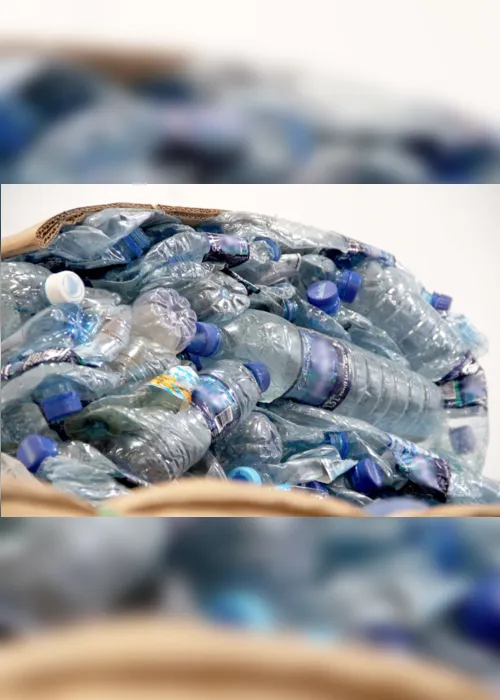 
                                        
                                            Volume de material destinado à reciclagem no TJ cai 96% em dois anos
                                        
                                        