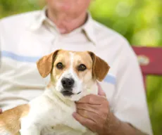 Convívio com animais: projeto da UFCG melhora qualidade de vida de idosos