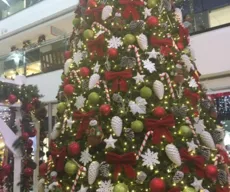 Árvores de Natal custam entre R$ 15 e R$ 700 em João Pessoa; veja pesquisa