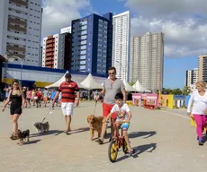 Feira Criativa no Parque Parahyba