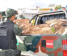 Sudema aplica mais de 900 multas por crimes ambientais em 2018