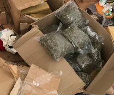 Cerca de 200 kg de maconha são apreendidos durante operação em João Pessoa