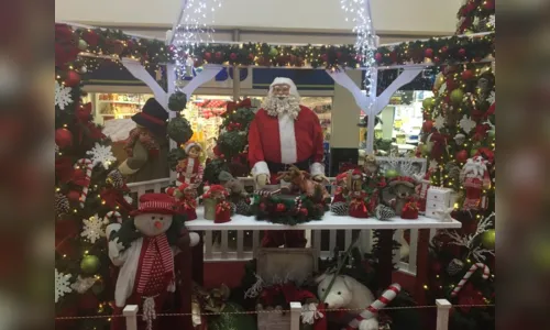 
				
					Decoração natalina: dezembro chega neste sábado, mas nas lojas já é Natal desde abril
				
				