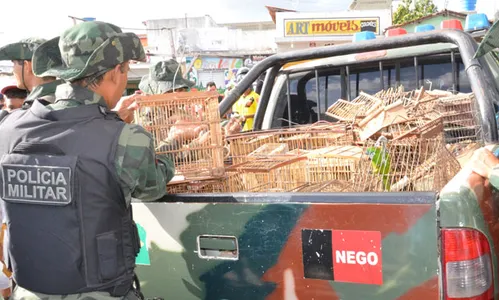 
                                        
                                            Sudema aplica mais de 900 multas por crimes ambientais em 2018
                                        
                                        