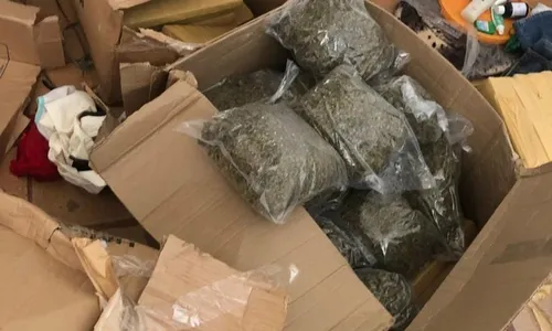 
                                        
                                            Cerca de 200 kg de maconha são apreendidos durante operação em João Pessoa
                                        
                                        