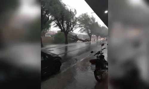 
				
					Chuvas acompanhadas de ventos provocam estragos em Patos
				
				