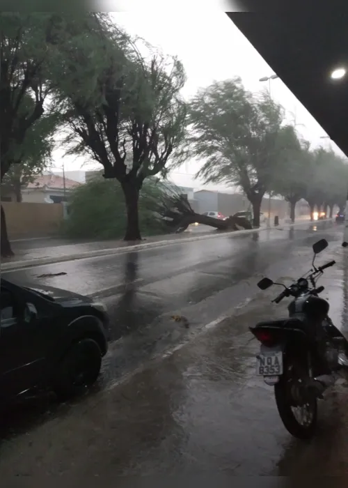 
                                        
                                            Inmet emite dois alertas com risco de chuvas intensas para toda a Paraíba
                                        
                                        
