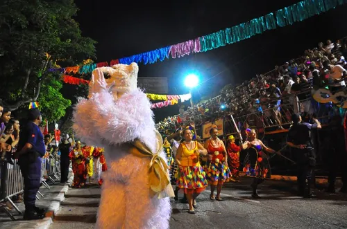 
				
					Carnaval Tradição de JP chega ao último dia com desfile de ala ursas
				
				