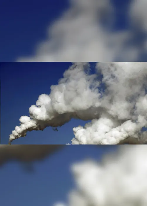 
                                        
                                            MP pede na Justiça fechamento de fábrica por poluição ambiental em Pocinhos
                                        
                                        