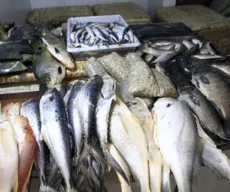 Governo inicia distribuição de 40 toneladas de pescado a famílias carentes na Paraíba
