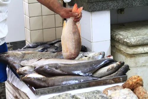 
				
					Prefeituras da Paraíba gastam quase R$ 2,5 milhões para doar peixes à população
				
				