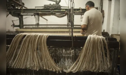 
				
					Cerca de 40 quilombos plantam algodão para indústria têxtil da Paraíba
				
				
