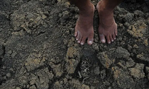 
                                        
                                            Governo da PB decreta situação de emergência em 177 cidades devido estiagem
                                        
                                        