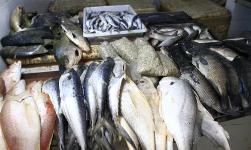 
                                        
                                            Prefeituras da Paraíba gastam quase R$ 2,5 milhões para doar peixes à população
                                        
                                        