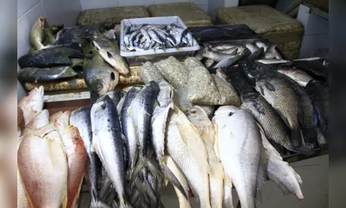 
				
					Governo inicia distribuição de 40 toneladas de pescado a famílias carentes na Paraíba
				
				