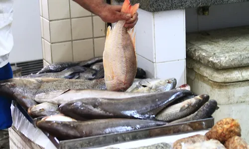 
                                        
                                            Preço do quilo de peixe tem diferença de até R$ 80 em João Pessoa, diz Procon-PB
                                        
                                        