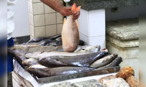 
				
					Prefeituras da Paraíba gastam quase R$ 2,5 milhões para doar peixes à população
				
				