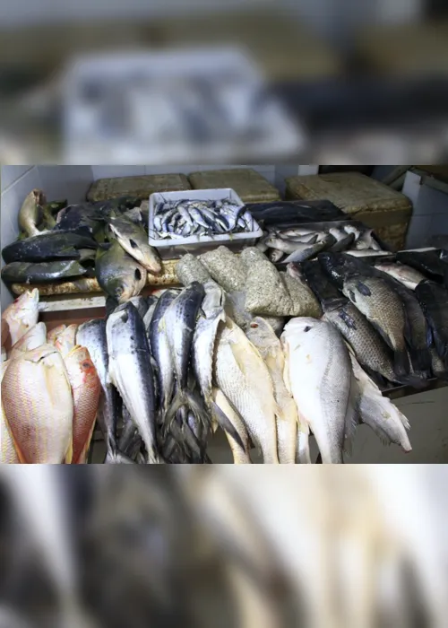 
                                        
                                            Governo inicia distribuição de 40 toneladas de pescado a famílias carentes na Paraíba
                                        
                                        
