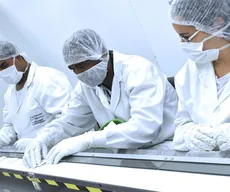 Fiocruz desenvolve teste rápido para dengue, zika e chikungunya