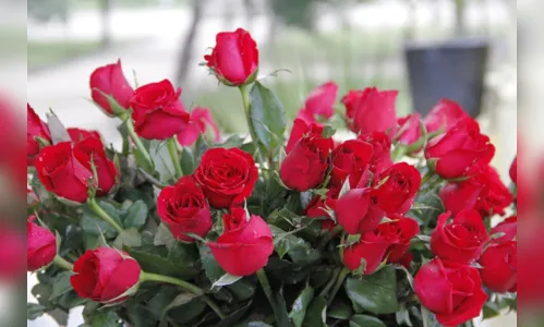 
				
					Preço da rosa para Dia das Mães pode variar 275% em floriculturas de João Pessoa
				
				