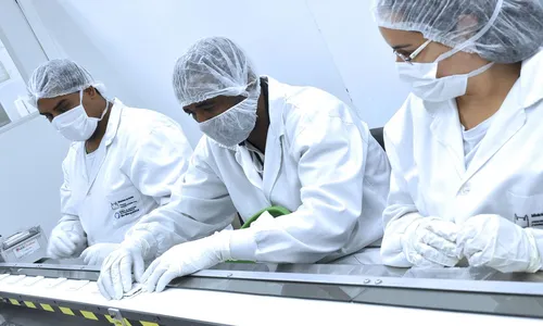 
                                        
                                            Fiocruz desenvolve teste rápido para dengue, zika e chikungunya
                                        
                                        