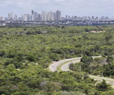 Paraíba restaurou mais de 5 mil hectares de Mata Atlântica em cinco anos, revela estudo