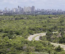 Mesmo sem título de 2ª cidade mais verde do mundo, capital é sinônimo de meio ambiente