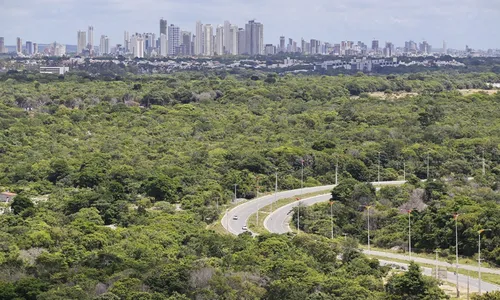 
                                        
                                            Lula veta trecho de MP que fragiliza combate ao desmatamento da Mata Atlântica
                                        
                                        