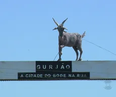 ‘Bode na Rua’, em Gurjão acontece de 29 a 31 de julho; veja atrações