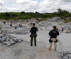 Operação Oteca aplica R$ 317 mil em multas por crimes ambientais