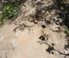 Cemitério clandestino de animais é encontrado com 150 ossadas na PB