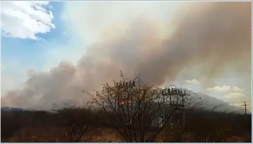 
				
					Incêndio já dura 13 dias em mata do Sertão da Paraíba
				
				