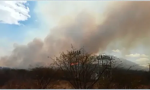 
                                        
                                            Incêndio já dura 13 dias em mata do Sertão da Paraíba
                                        
                                        