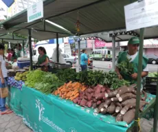 Feira Regional de Produtos Agroecológicos acontece nesta quarta em CG