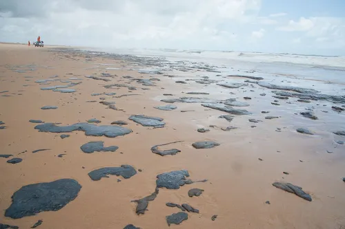 
				
					Óleo que vazou nas praias do Nordeste foi extraído de três campos na Venezuela, diz Petrobras
				
				