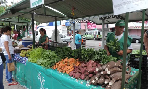 
                                        
                                            Feira Regional de Produtos Agroecológicos acontece nesta quarta em CG
                                        
                                        