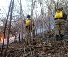 Mais de 550 incêndios foram registrados no Sertão da Paraíba este ano