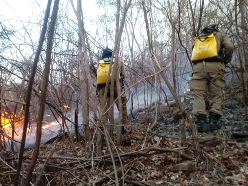 
				
					Mais de 550 incêndios foram registrados no Sertão da Paraíba este ano
				
				