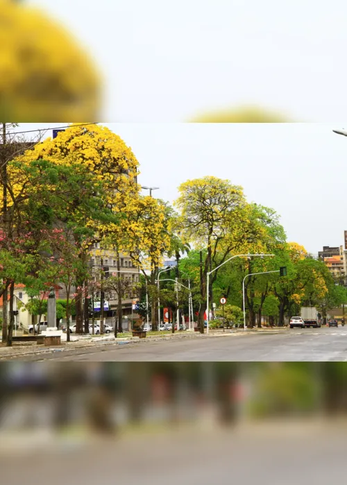 
                                        
                                            João Pessoa é reconhecida como capital com mais áreas verdes do Norte/Nordeste
                                        
                                        