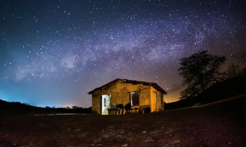 
				
					Exposição reúne fotos de astros e estrelas em João Pessoa
				
				