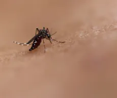 Paraíba já registra mais de 6 mil notificações de dengue em 2020, aponta SES