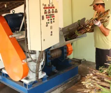 Produtores investem em cachaça orgânica na Paraíba
