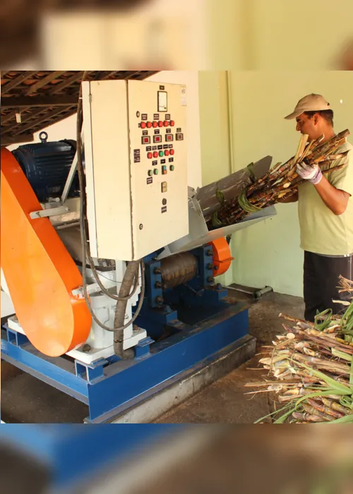 
                                        
                                            Produtores investem em cachaça orgânica na Paraíba
                                        
                                        