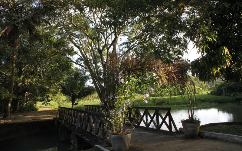 Jardim Botânico: pedaço da Mata Atlântica para visitação