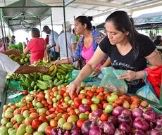 Produtos de agricultura familiar podem ser comprados virtualmente em João Pessoa