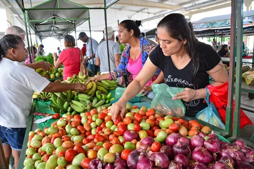 
				
					Produtos de agricultura familiar podem ser comprados virtualmente em João Pessoa
				
				