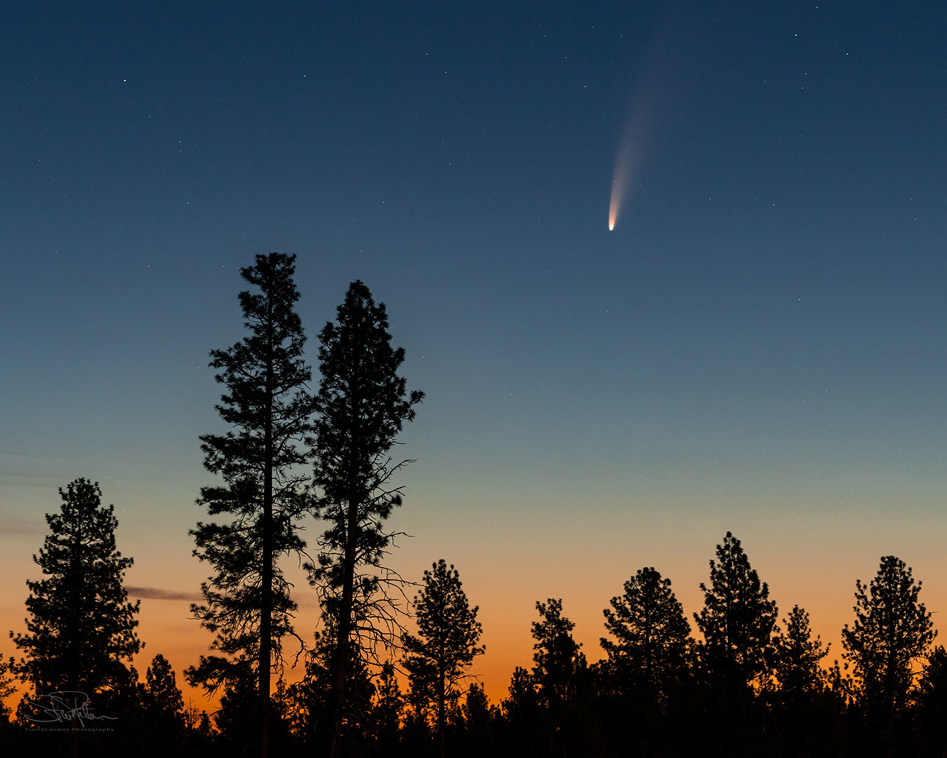 Cometa Neowise vai poder ser visto no céu da Paraíba nesta quarta