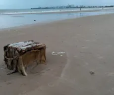 'Caixa misteriosa' é encontrada na praia de Intermares, em Cabedelo