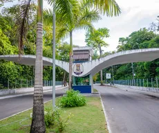 Inscrições para mais de 30 cursos online da UFPB terminam neste domingo