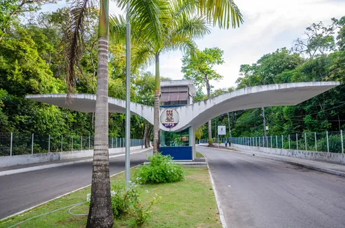 
				
					Inscrições para mais de 30 cursos online da UFPB terminam neste domingo
				
				